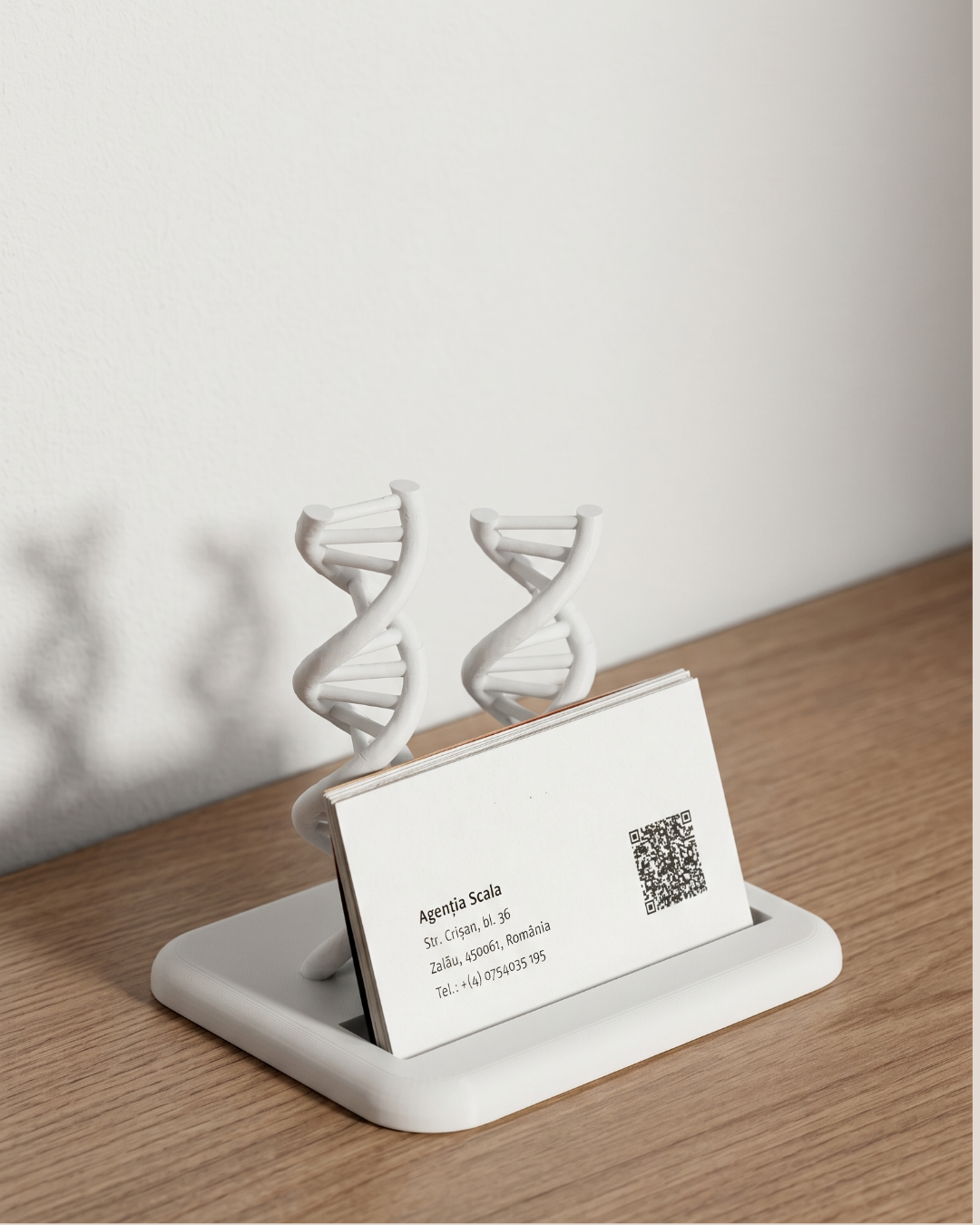 DNA Helix Business Card Holder